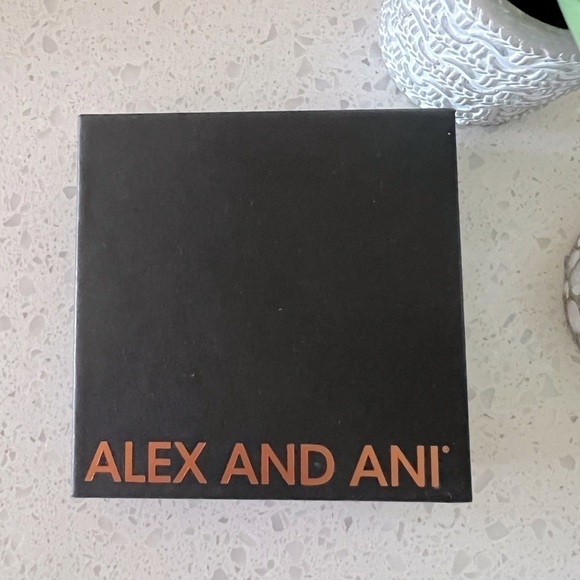 ALEX AND ANI path of life bangle bracelet EUC - Picture 4 of 10